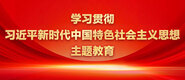 外国老太太肥操逼i学习贯彻习近平新时代中国特色社会主义思想主题教育_fororder_ad-371X160(2)